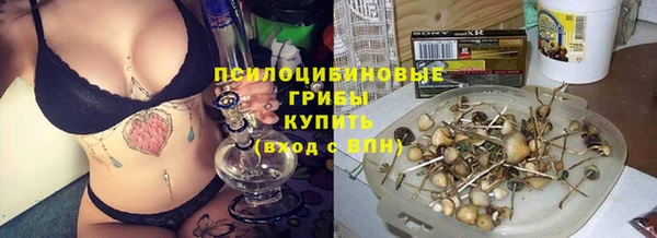 бутират Алексин