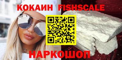гашик Кингисепп