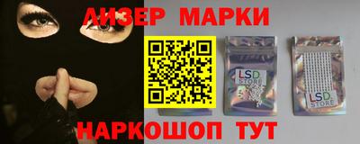 гашик Кингисепп