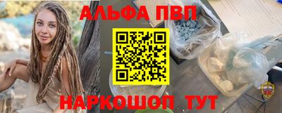 гашик Кингисепп