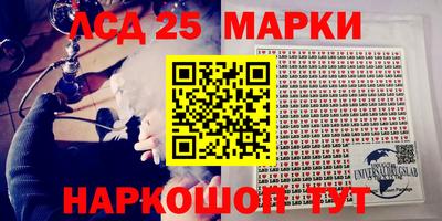 гашик Кингисепп