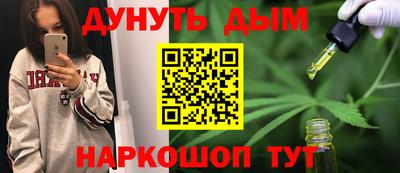 гашик Кингисепп