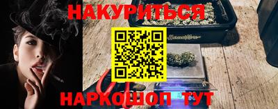 гашик Кингисепп