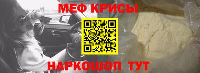 гашик Кингисепп