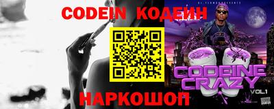 гашик Кингисепп