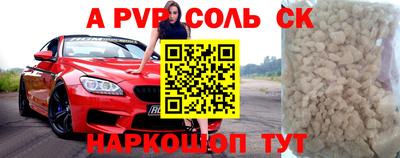 гашик Кингисепп