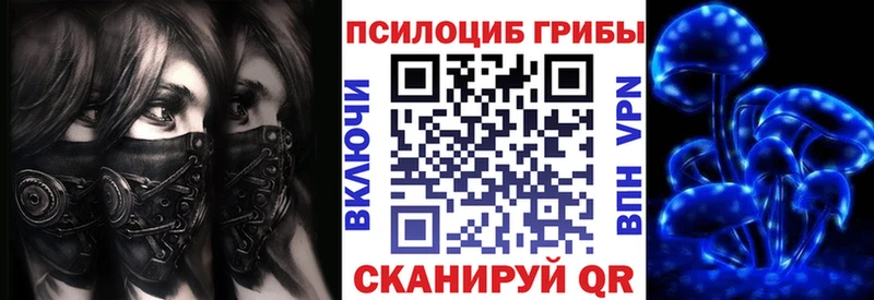 Галлюциногенные грибы Psilocybe  хочу   это какой сайт  Коряжма  мега ссылка 